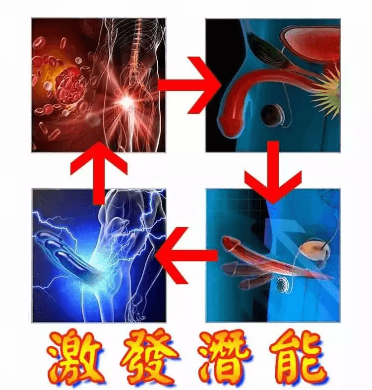 ac11ef8775d249a782e17172df597c28.png